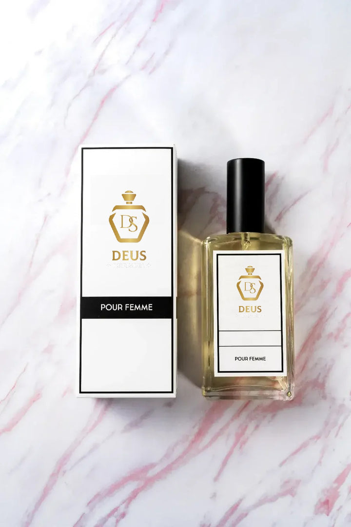 PSYL - Recuerda a Paris YSL